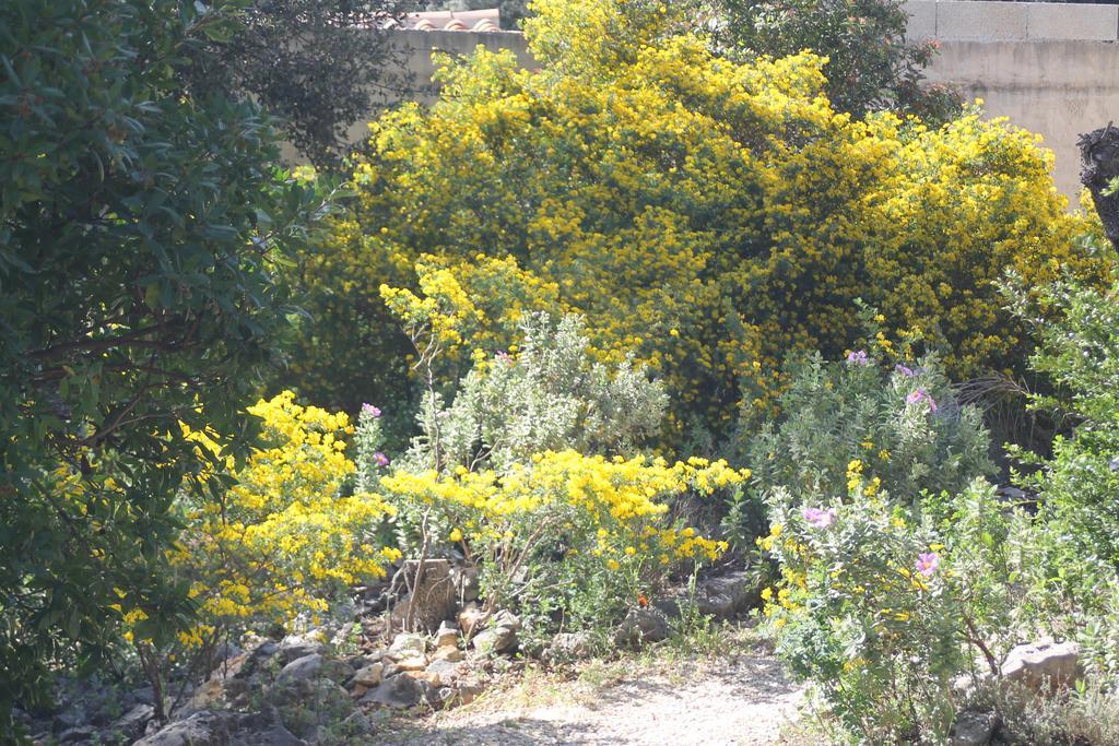 Вилла A L'Est D'Uzes Saint-Siffret Экстерьер фото